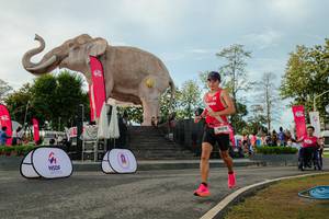 BIB: 
                            <button type="button" onclick="openModal(26529132)" class="btn btn-primary btn-sm float-right btn-popup" data-toggle="modal" data-target=".modal-high-quality">
                        <i class="fas fa-shopping-cart"></i> Add to Cart
                    </button>
                                            <button type="button" onclick="isThisMe(26529132, true)" class="btn btn-success btn-sm float-right btn-popup btn-isme hidden" data-toggle="tooltip" data-placement="bottom" title="นี่คือรูปของคุณใช่ไหม คลิกที่นี่เพื่อเอาเข้าอัลบั้ม">
                        <i class="fas fa-plus"></i> Add to album
                    </button>
                    <button type="button" onclick="isThisMe(26529132, false)" class="btn btn-warning btn-sm float-right btn-popup btn-isnotme hidden">
                        <i class="fas fa-ban"></i> Remove from album
                    </button>